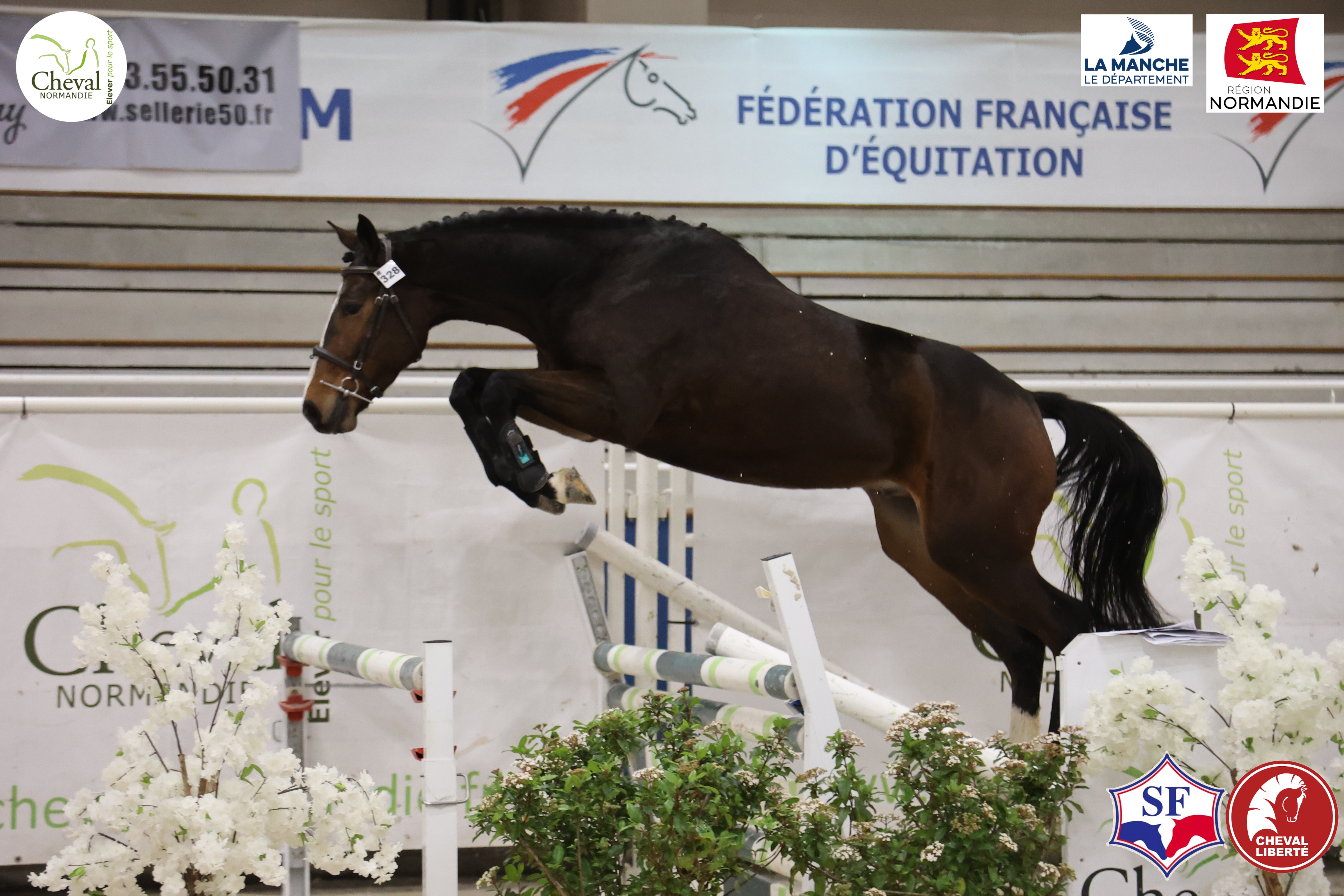 Photo principale de MATHYS DU MESNILDOT