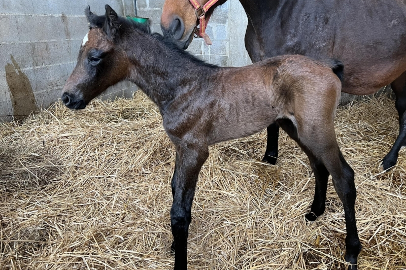 Les naissances de février
