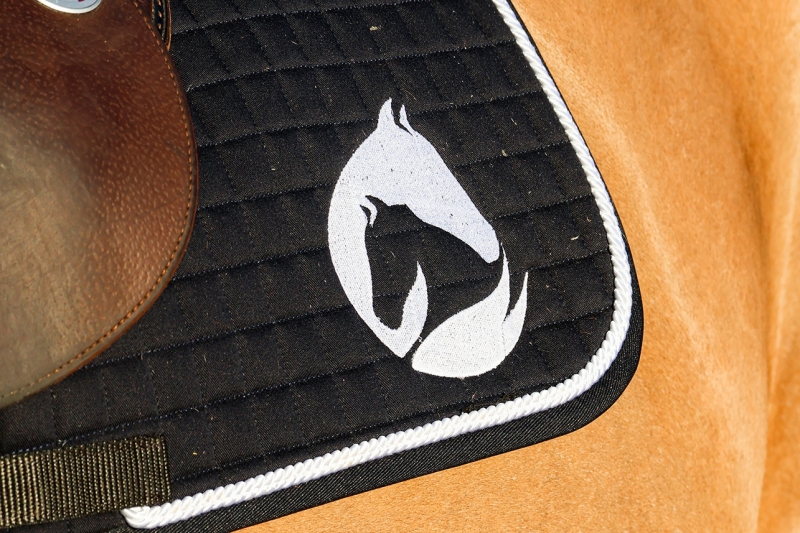 Reprise des comp&eacute;titions : une bonne entr&eacute;e en mati&egrave;re pour nos chevaux