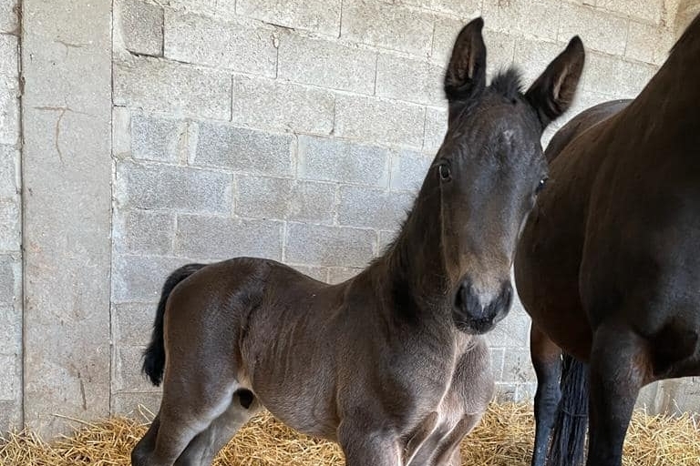 Les naissances de mars
