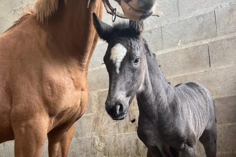 Les naissances d'avril