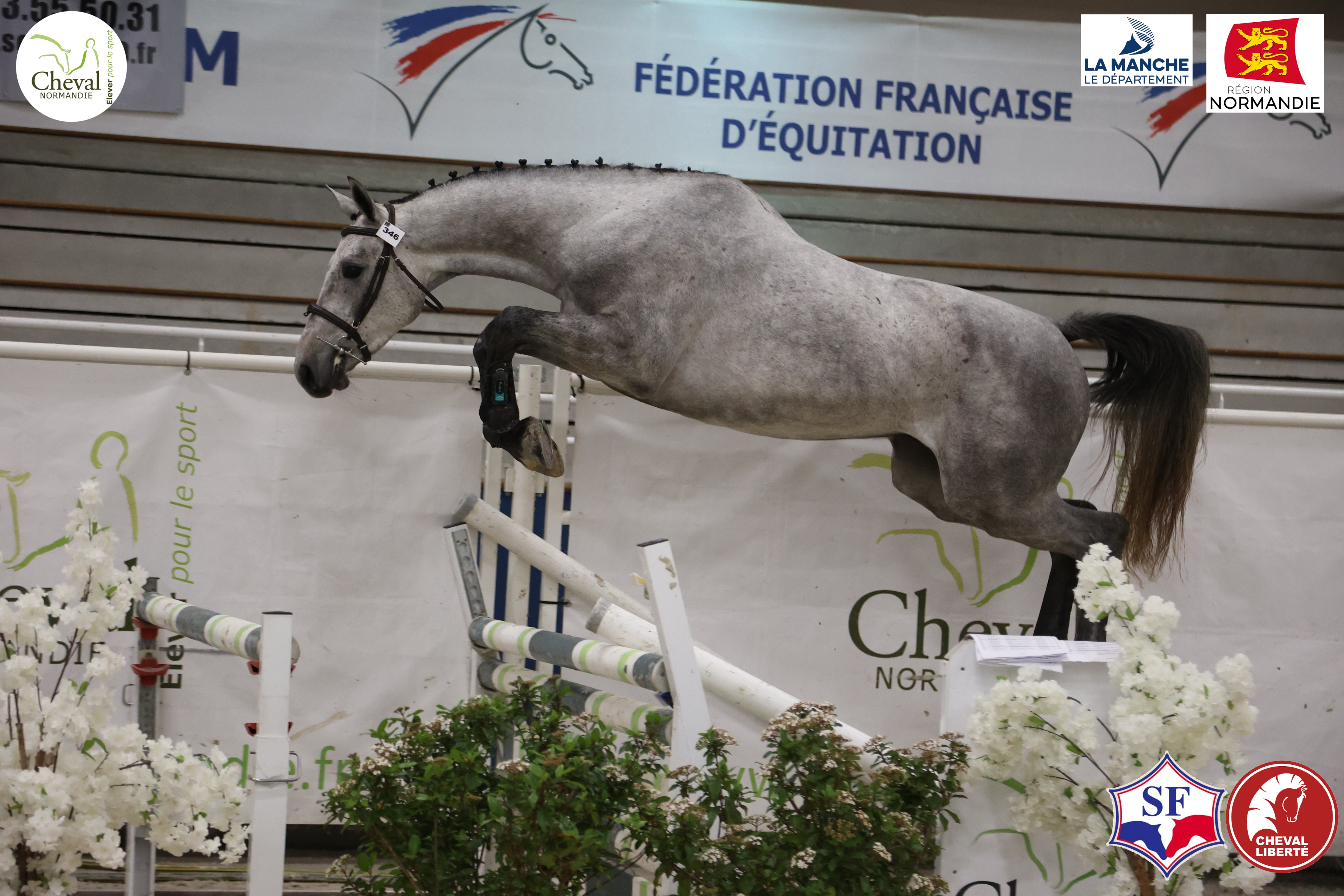 R&eacute;gional de Saint-L&ocirc;