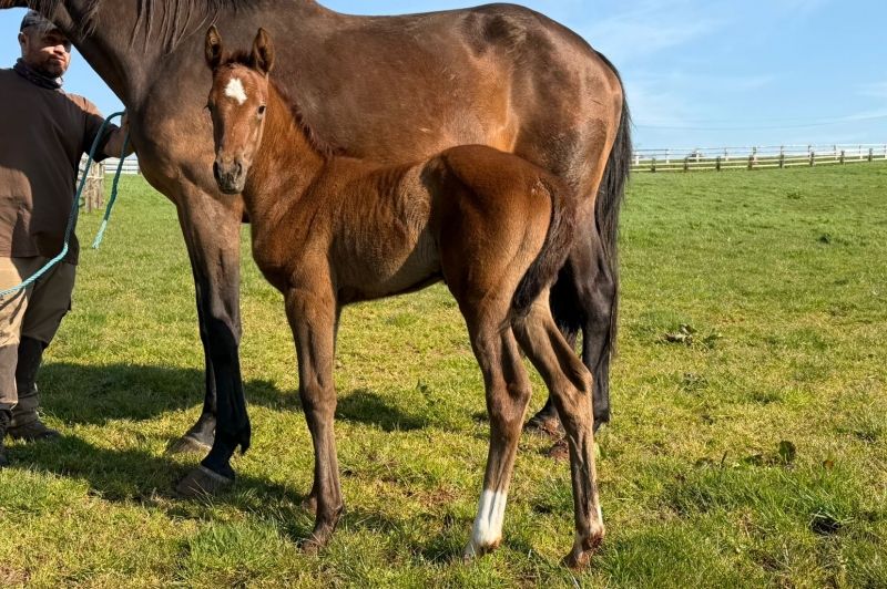 Bienvenue &agrave; la fille de Katie !