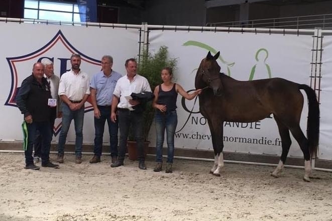 REGIONAL 2 ANS FEMELLES SF